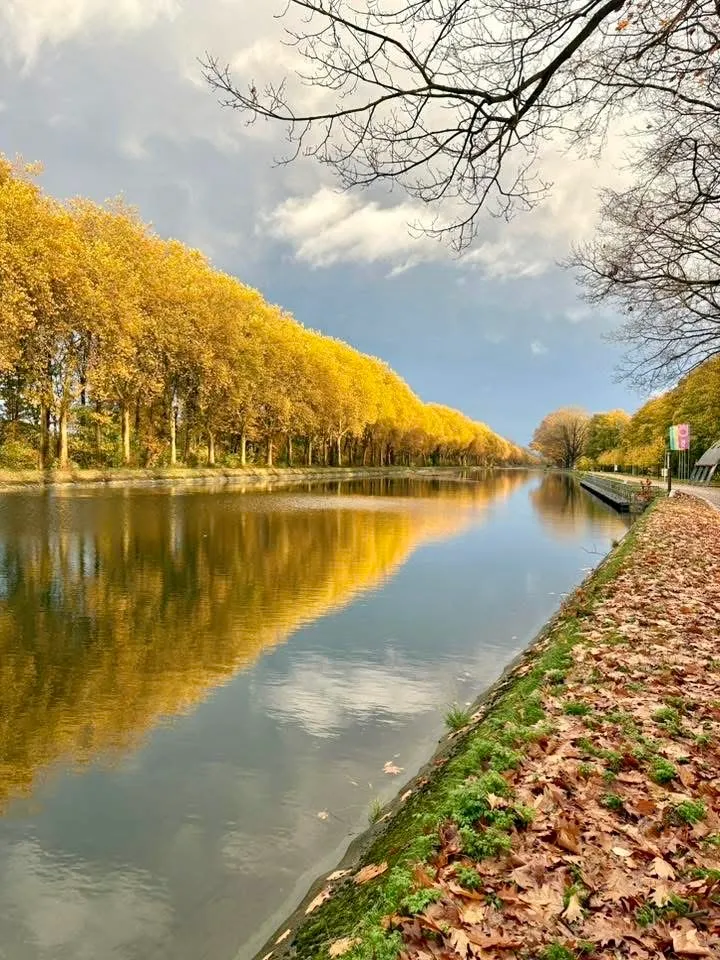 Het kanaal met een rij bomen in herfstkleuren, weerspiegeld in het water